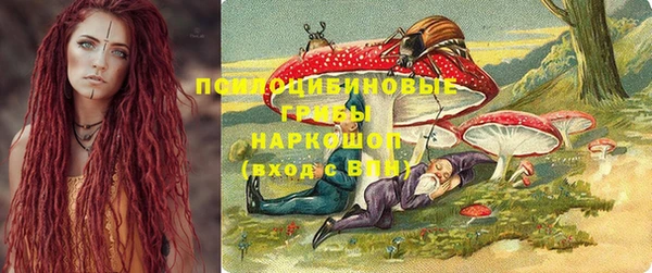 ПСИЛОЦИБИНОВЫЕ ГРИБЫ Бородино