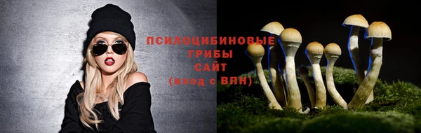прущая мука Верхний Тагил