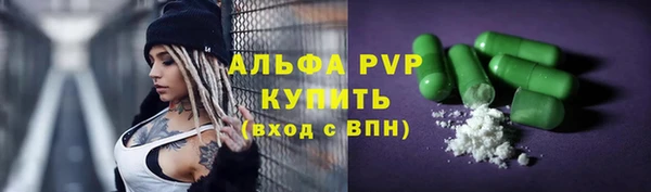 тгк Белокуриха