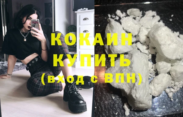 ПСИЛОЦИБИНОВЫЕ ГРИБЫ Бородино