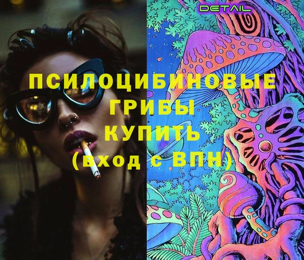 ПСИЛОЦИБИНОВЫЕ ГРИБЫ Бородино