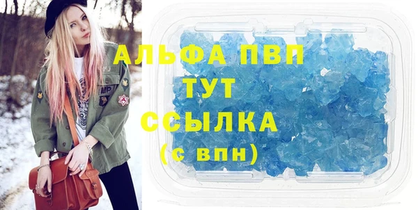 ПСИЛОЦИБИНОВЫЕ ГРИБЫ Бородино