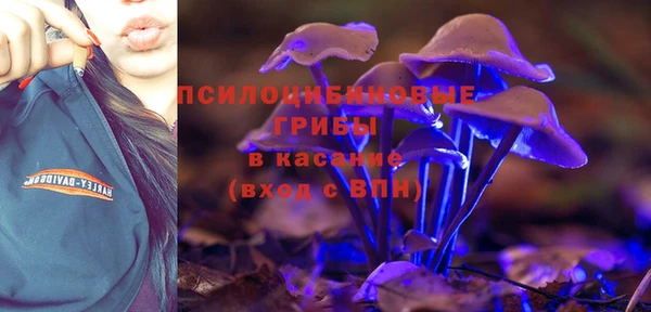 ПСИЛОЦИБИНОВЫЕ ГРИБЫ Бородино